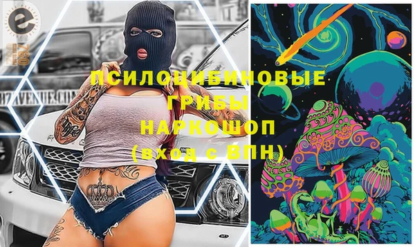 apvp Белокуриха