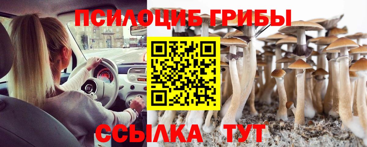 Галлюциногенные грибы Psilocybine cubensis Свободный